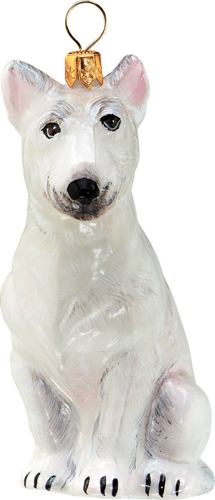 Bull Terrier- White