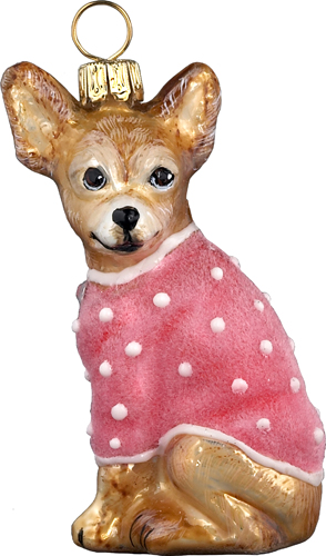 Chihuahua in Pink Velvet Coat