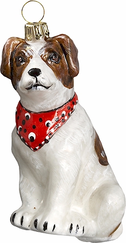 Jack Russell Terrier with Bandana