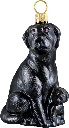 Labrador Retriever- Black Mother with Puppy