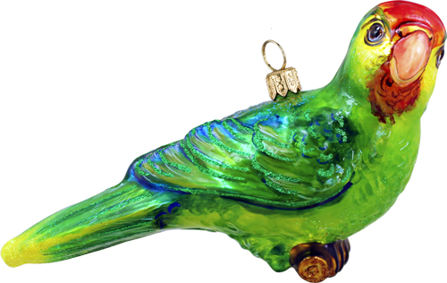 Parrot- Green Amazon