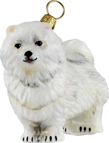 Pomeranian- White