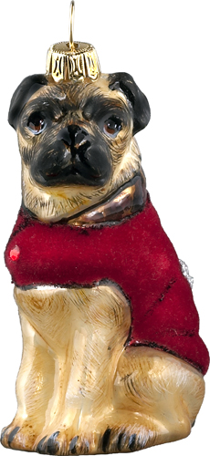 Pug Fawn in Red Coat