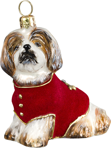 Shih Tzu Brown and White with Red Velvet Coat