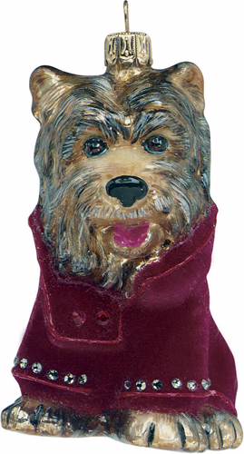 Terrier in Red Coat