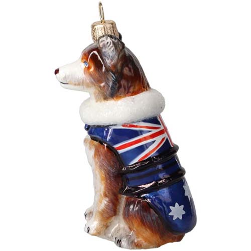 Australian Shepherd in <br>Australia Flag Coat