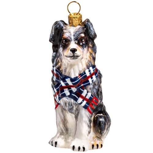 Australian Shepherd<br> with Scarf