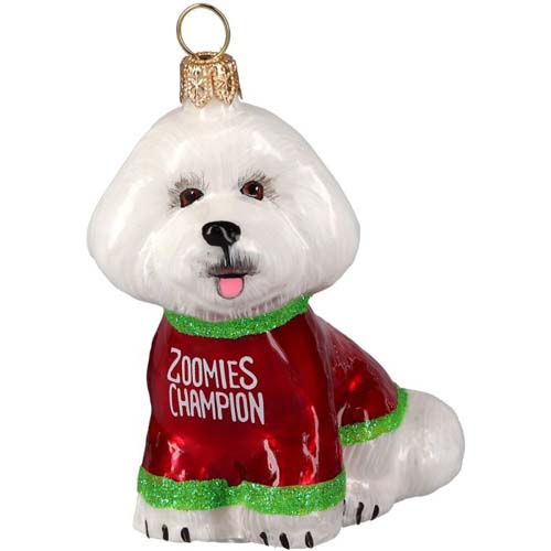 Bichon Frise Pro <br>Zoomies Champion