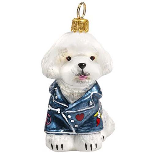 Bichon Frise in <br>Denim Jacket