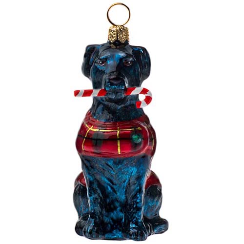 Black Lab with Candy<br> Cane and Tartan Plaid