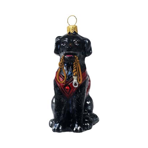 Black Labrador Retriever<br> with Vest Leash