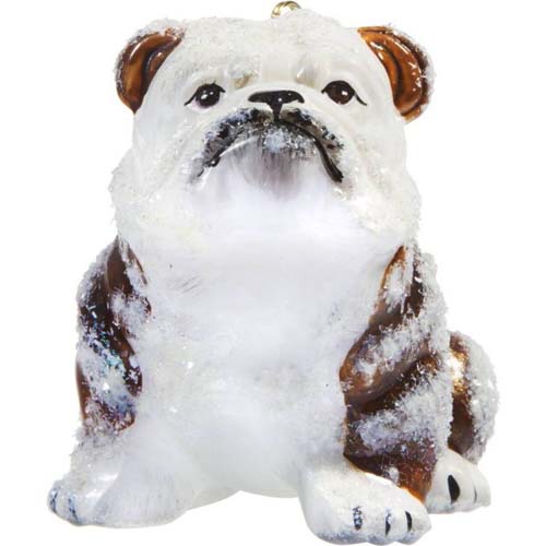 Bulldog Brown White <br>Snowy Version