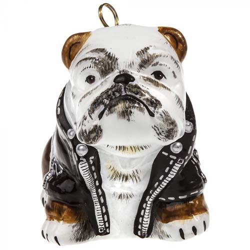 Bulldog in Motorcycle Jacket