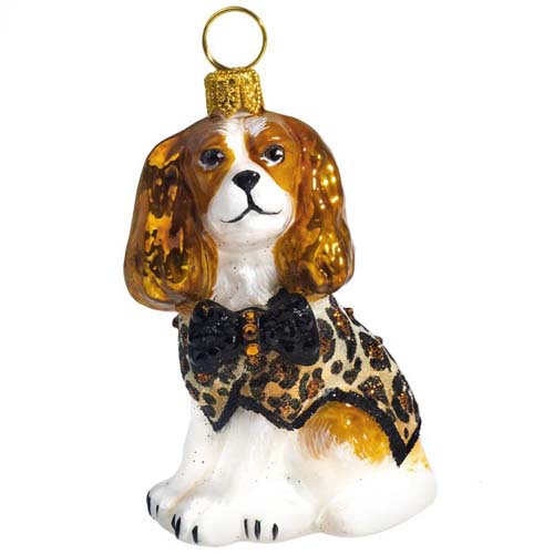 Cavalier King Blenheim in Leopard Coat