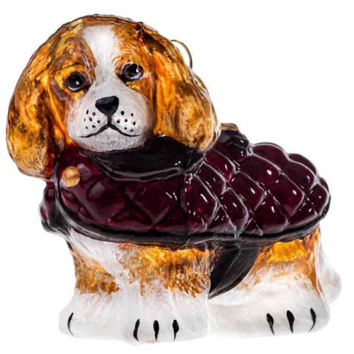 Cavalier King Blenheim in Quilted Coat