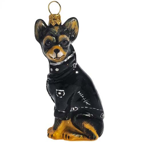 Chihuahua Tri Color in <br>Black Motorcycle Jacket