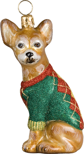 Chihuahua in Argyle Sweater