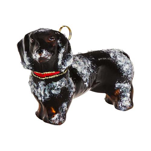 Dachshund Black <br>Snowy Version