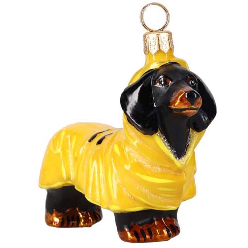 Dachshund Black <br>in Rain Coat