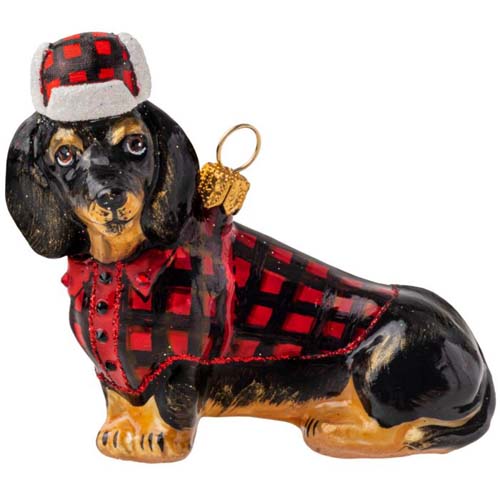 Dachshund in Lumberjack Hat