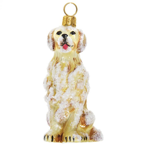 Golden Retriever <br>Snowy Version