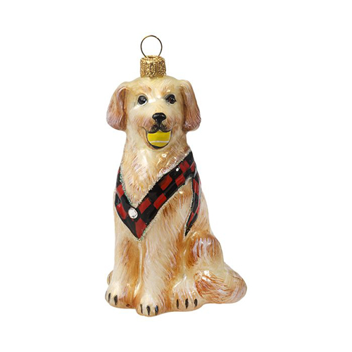 Golden Retriever in Vest<br> with Tennis Ball