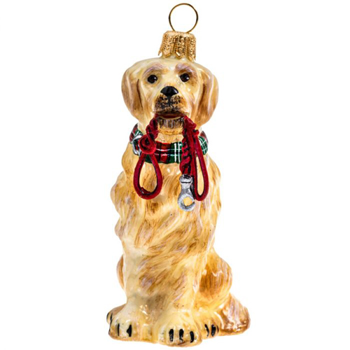 Golden Retriever with Leash <br>and Tartan Plaid Collar