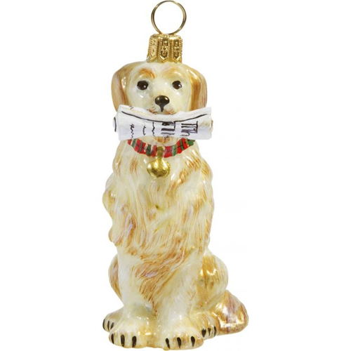 Golden Retriever <br>with Newspaper