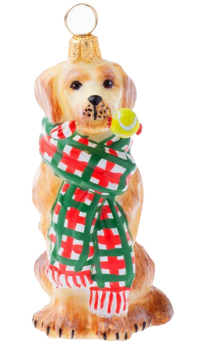 Golden Retriever with Tartan <br>Plaid Bushy Scarf and Toy