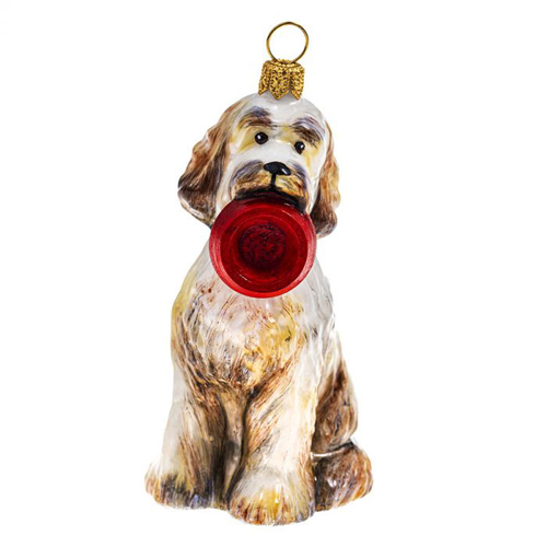 Goldendoodle with Dog <br>Dish and Black Collar