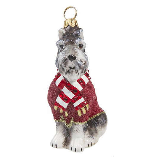 Gray Schnauzer in <br>Red Coat