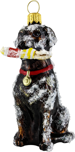 Labrador Retriever- Chocolate <br>with Buoy Snowy Version