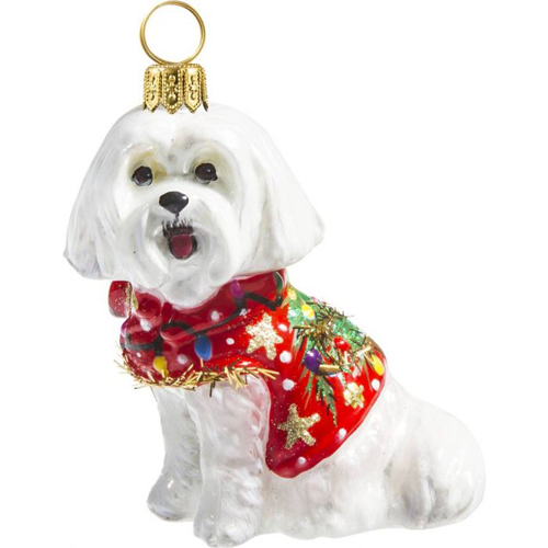 Maltese in Ugly <br>Christmas Sweater