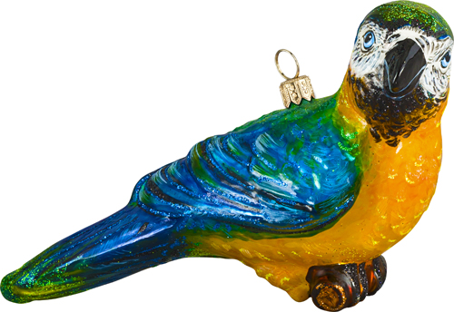 Parrot- Blue & Yellow Macaw