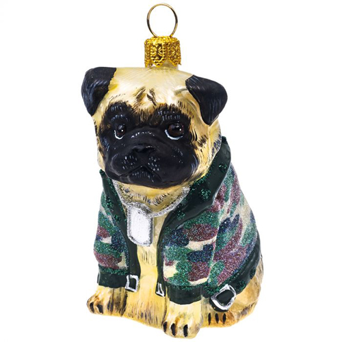 Pug Fawn in Camo <br>and Dog Tags