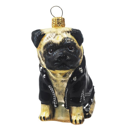 Pug Fawn in <br>Motorcycle Jacket