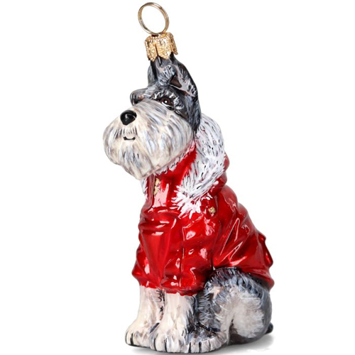 Schnauzer Gray in <br>Winter Coat