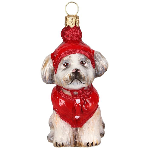 Shih Tzu in Winter <br>Coat and Ski Hat