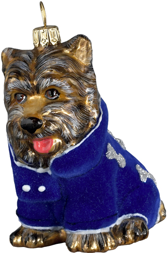 Terrier in Blue Coat