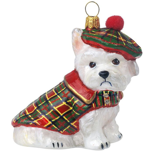 Westie Highlander