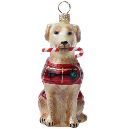 Yellow Lab with Candy <br>Cane and Tartan Plaid