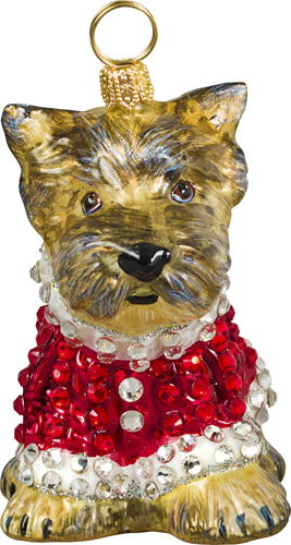 Yorkshire Terrier Puppy with Crystal Encrusted Coat