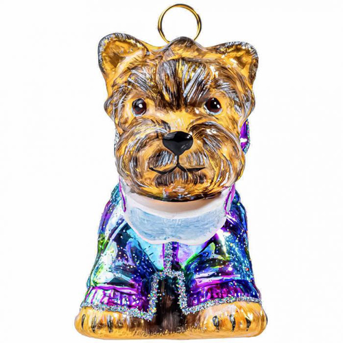 Yorkshire Terrier in <br>Metallic Ski Jacket Goggles